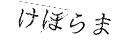 CAPTCHA画像