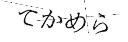 CAPTCHA画像
