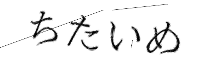 CAPTCHA画像