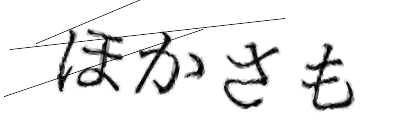 CAPTCHA画像