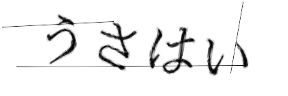 CAPTCHA画像