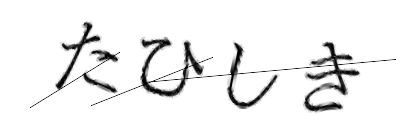 CAPTCHA画像