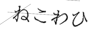 CAPTCHA画像