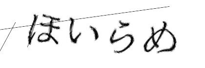 CAPTCHA画像