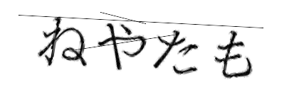 CAPTCHA画像