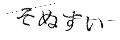 CAPTCHA画像