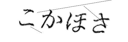 CAPTCHA画像