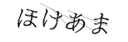 CAPTCHA画像