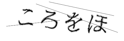 CAPTCHA画像