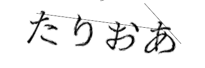 CAPTCHA画像