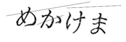 CAPTCHA画像