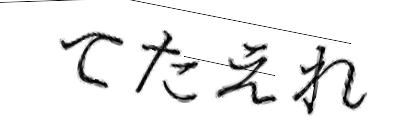 CAPTCHA画像