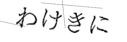 CAPTCHA画像