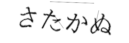 CAPTCHA画像