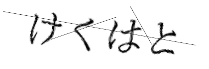 CAPTCHA画像