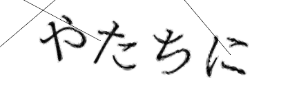 CAPTCHA画像