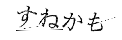 CAPTCHA画像
