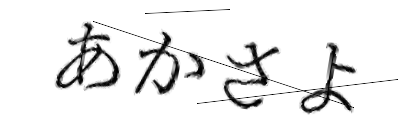 CAPTCHA画像