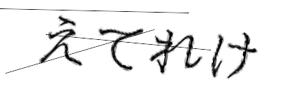 CAPTCHA画像