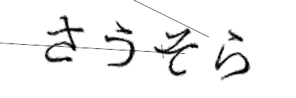 CAPTCHA画像