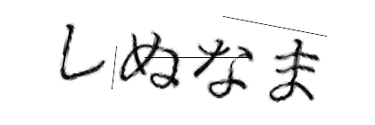 CAPTCHA画像