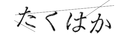 CAPTCHA画像