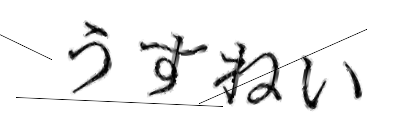 CAPTCHA画像