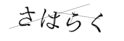CAPTCHA画像