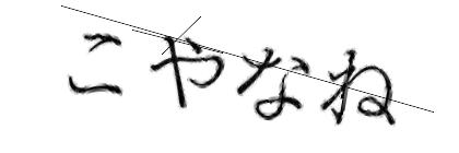 CAPTCHA画像