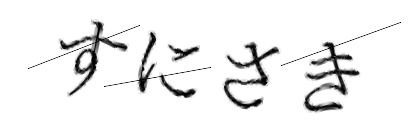 CAPTCHA画像