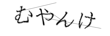 CAPTCHA画像