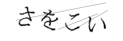 CAPTCHA画像
