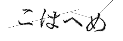 CAPTCHA画像