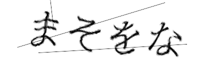 CAPTCHA画像