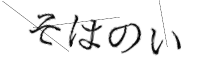 CAPTCHA画像