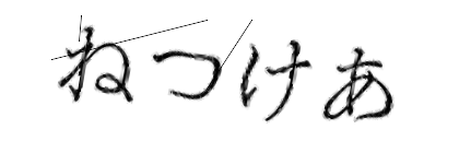 CAPTCHA画像
