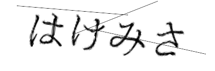 CAPTCHA画像