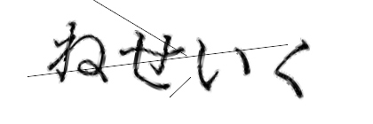 CAPTCHA画像