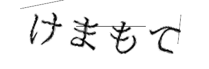 CAPTCHA画像