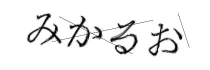 CAPTCHA画像