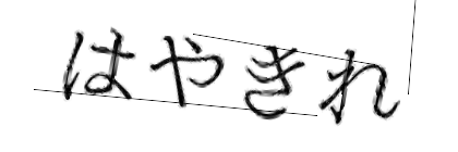 CAPTCHA画像
