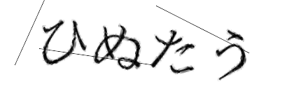 CAPTCHA画像