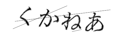 CAPTCHA画像