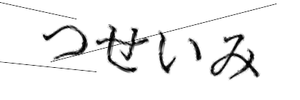 CAPTCHA画像