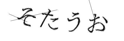 CAPTCHA画像