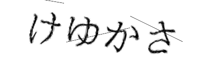 CAPTCHA画像