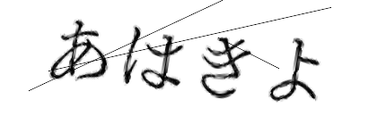 CAPTCHA画像