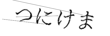 CAPTCHA画像