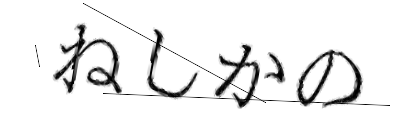 CAPTCHA画像