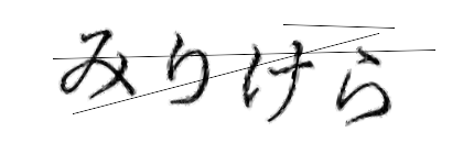 CAPTCHA画像